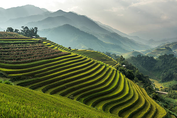 Paesaggio himalayano della Valle del Kullu in India, luogo dove è nata Himalayan Life